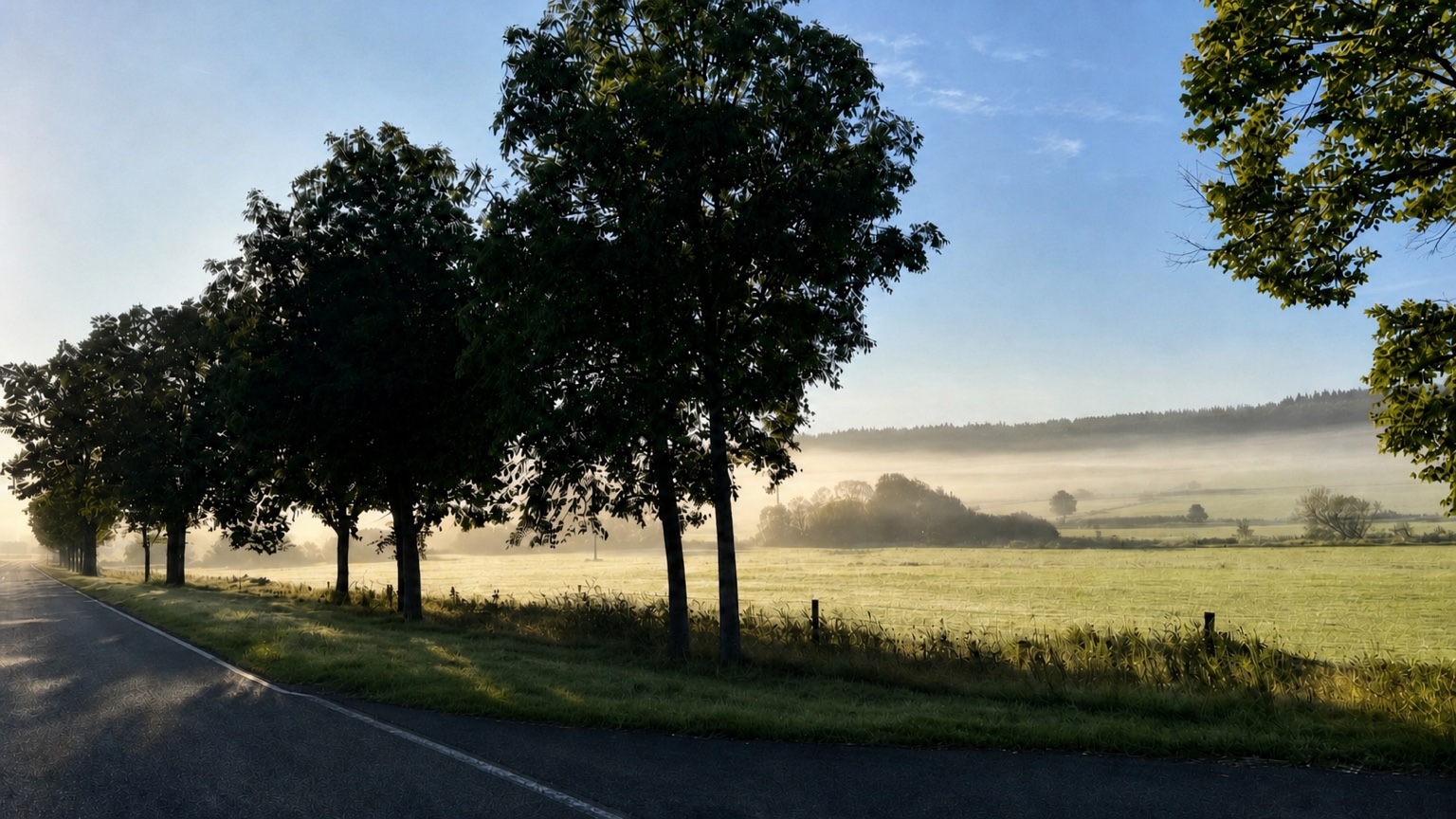 Morgenstimmung am Vulkanradweg im Vogelsberg